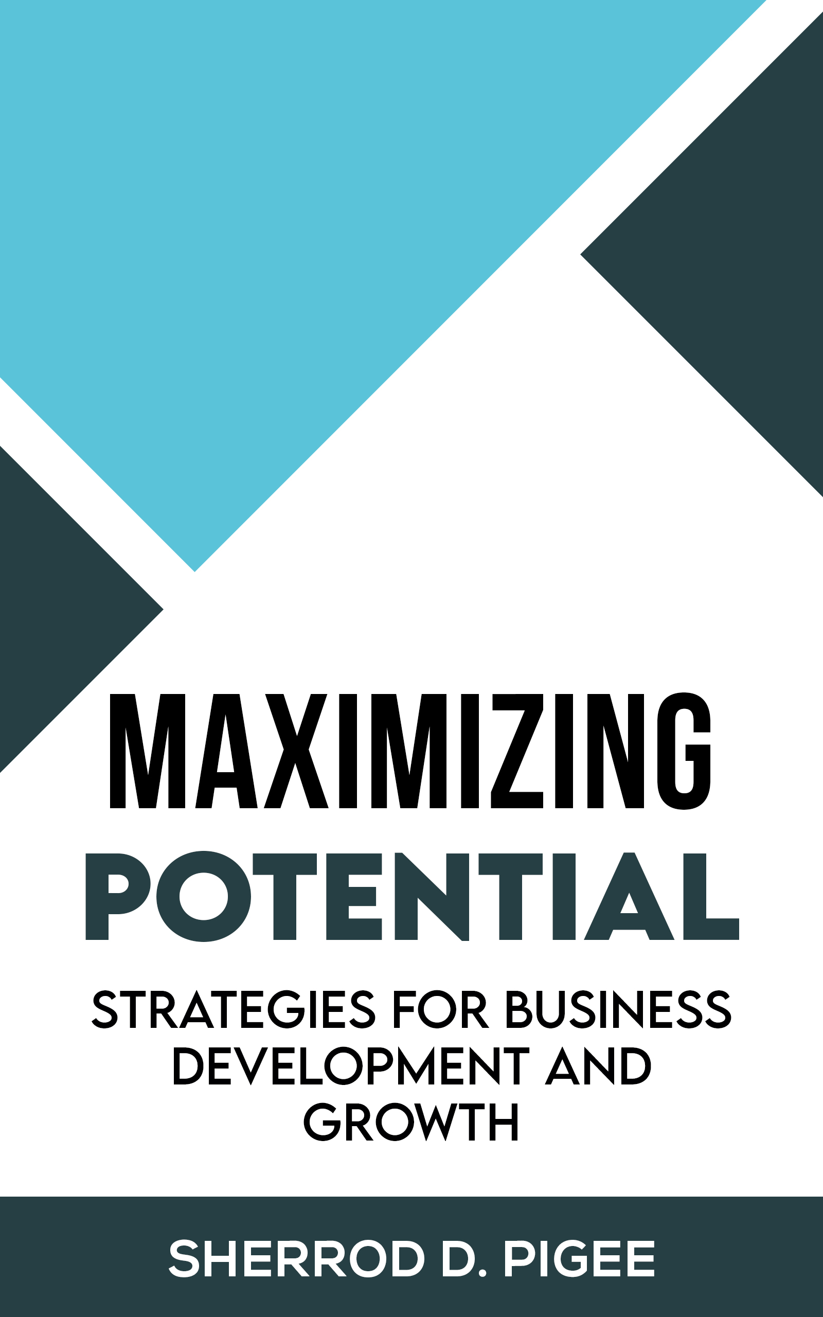 MAXIMIZING POTENTIAL - STRATEGIES FOR BUSINESS DEVELOPMENT AND GROWTH