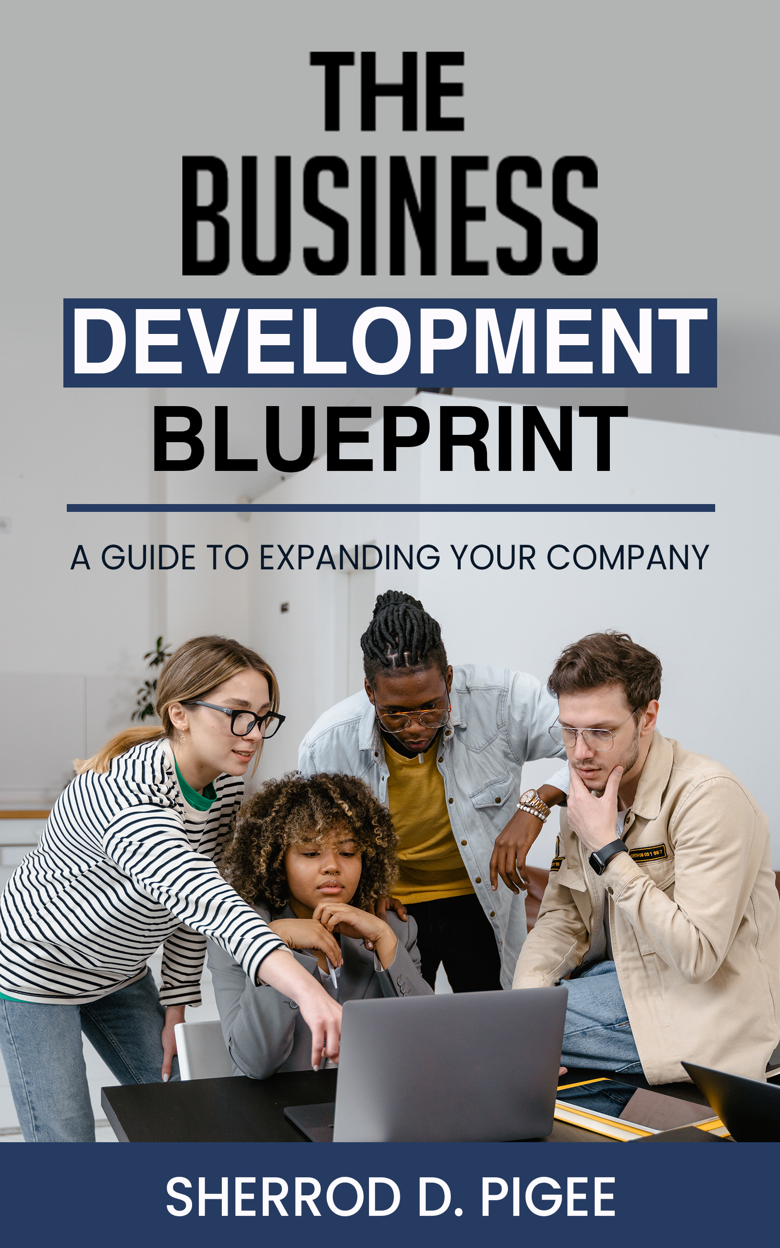 THE BUSINESS DEVELOPMENT BLUEPRINT - A GUIDE TO EXPANDING YOUR COMPANY