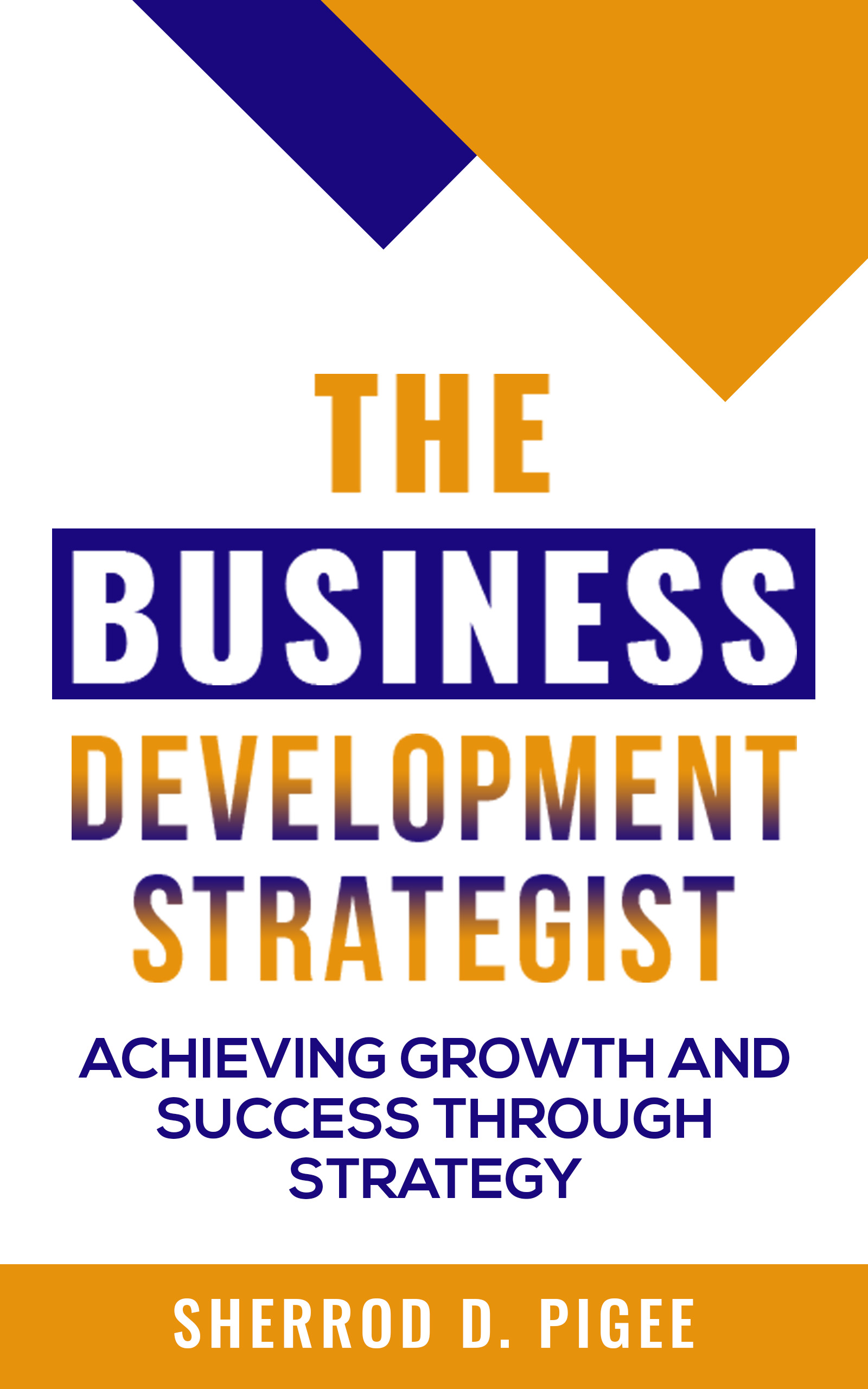 THE BUSINESS DEVELOPMENT STRATEGIST - ACHIEVING GROWTH AND SUCCESS THROUGH STRATEGY